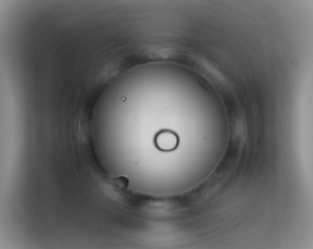 X0000113640414200909251245