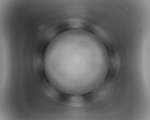 X0000113640415200909251245