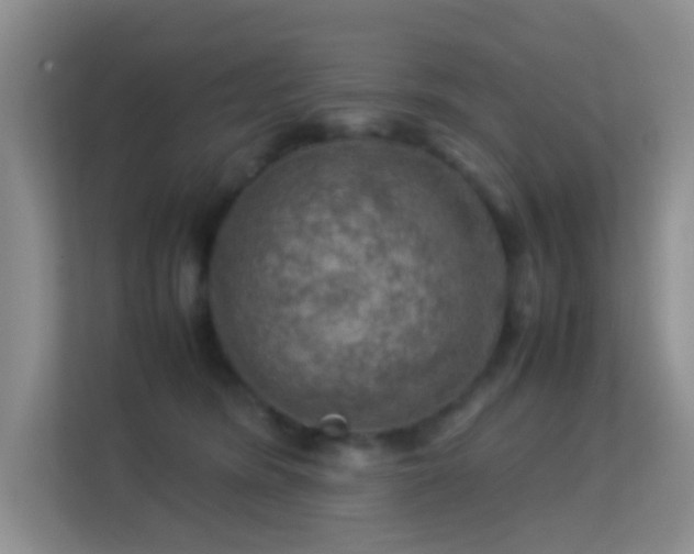 X0000113640420200909251245