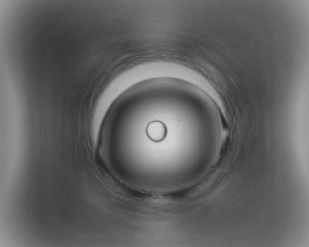 X0000113640421200909251245