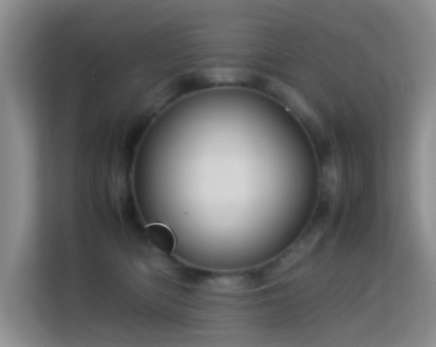 X0000113640422200909251245