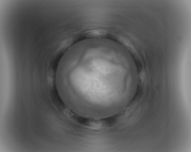 X0000113640423200909251245