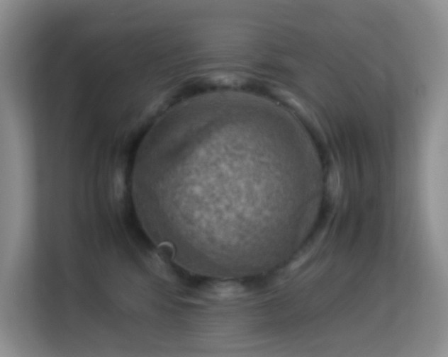 X0000113640424200909251245