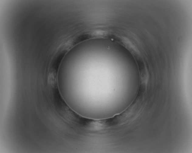 X0000113640425200909251245