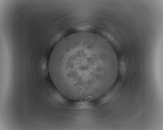 X0000113640428200909251245