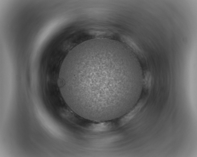 X0000113640430200909251245