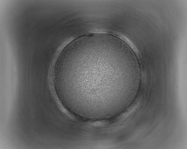 X0000113640433200909251244