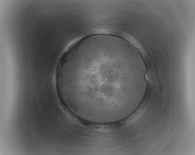 X0000113640434200909251244