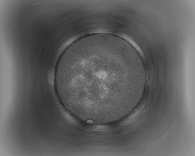 X0000113640437200909251244