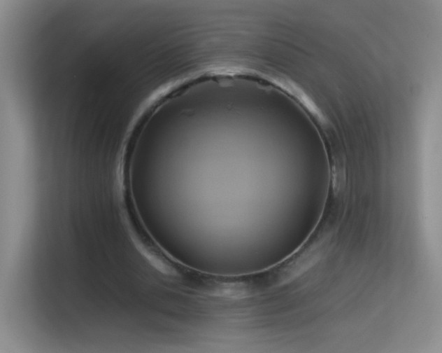 X0000113640438200909251244