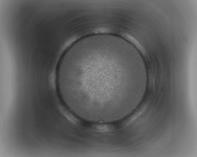 X0000113640439200909251244