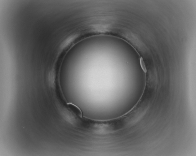 X0000113640440200909251244