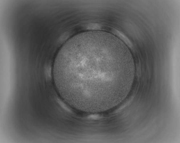 X0000113640441200909251244