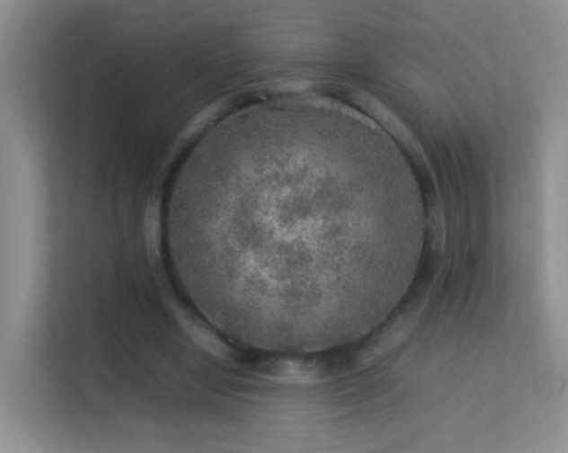 X0000113640442200909251244