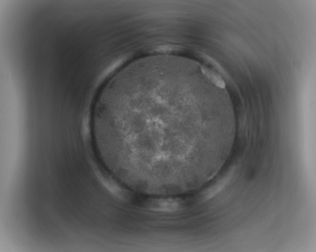 X0000113640443200909251244