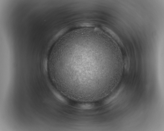 X0000113640445200909251244