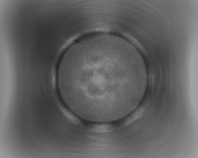 X0000113640446200909251244