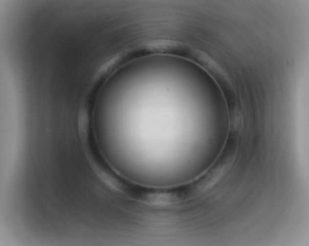 X0000113640448200909251244