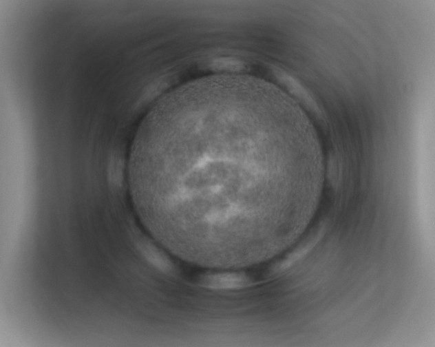 X0000113640449200909251244