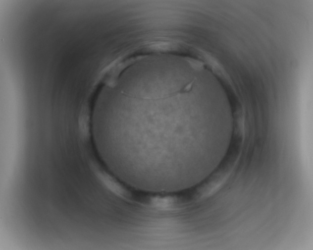 X0000113640450200909251244