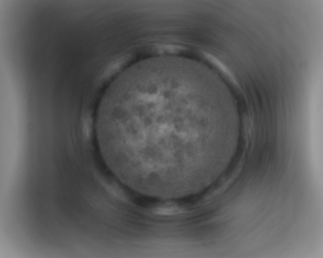 X0000113640451200909251244