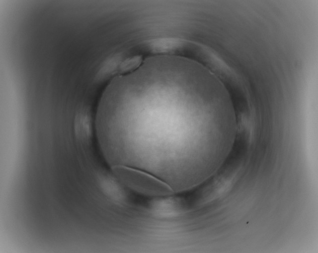 X0000113640452200909251244