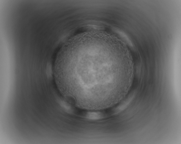 X0000113640457200909251245