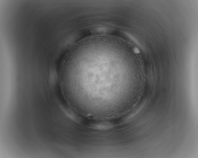 X0000113640459200909251245