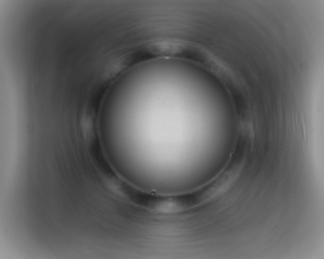 X0000113640460200909251245