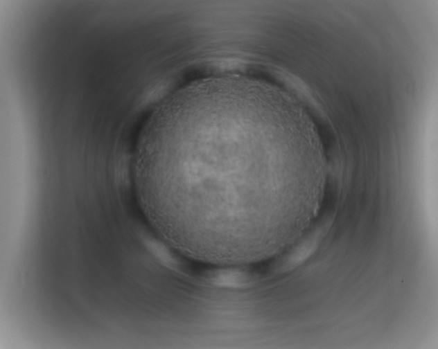 X0000113640462200909251245