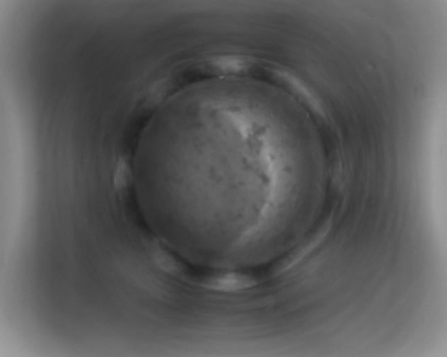 X0000113640467200909251245