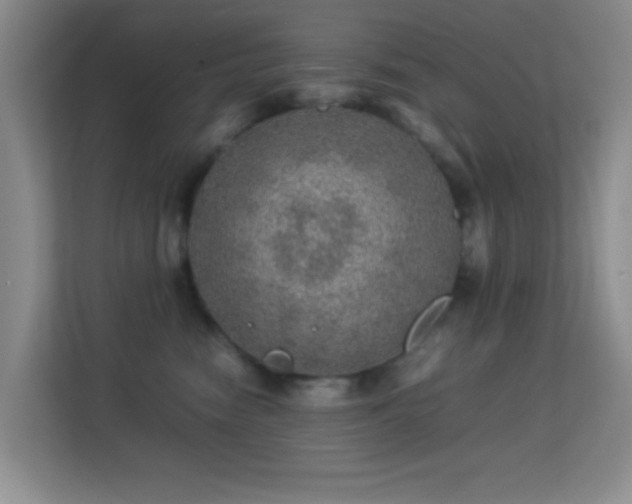 X0000113640474200909251245