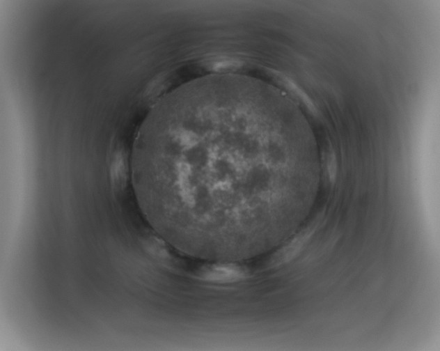 X0000113640475200909251245