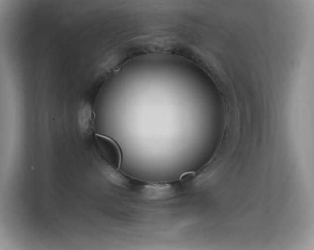 X0000113640480200909251245