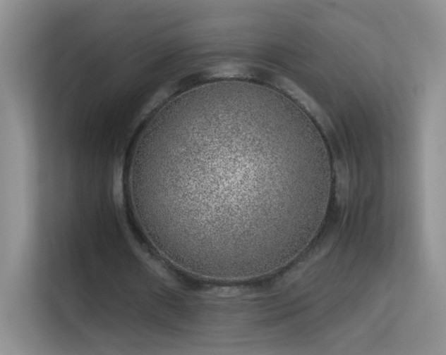 X0000113640482200909251244