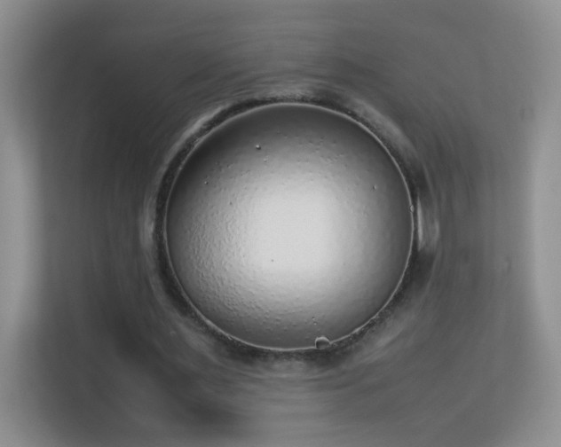 X0000113640483200909251244