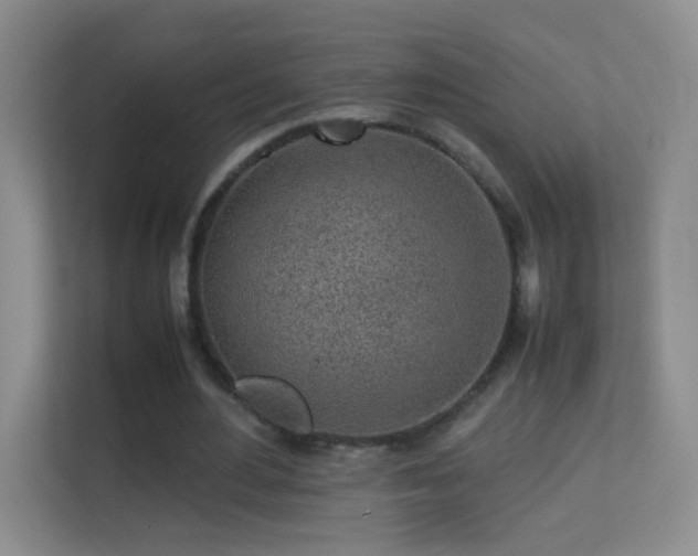 X0000113640484200909251244