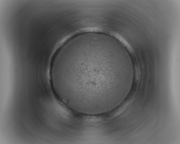 X0000113640486200909251244