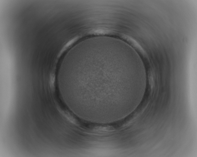 X0000113640488200909251244