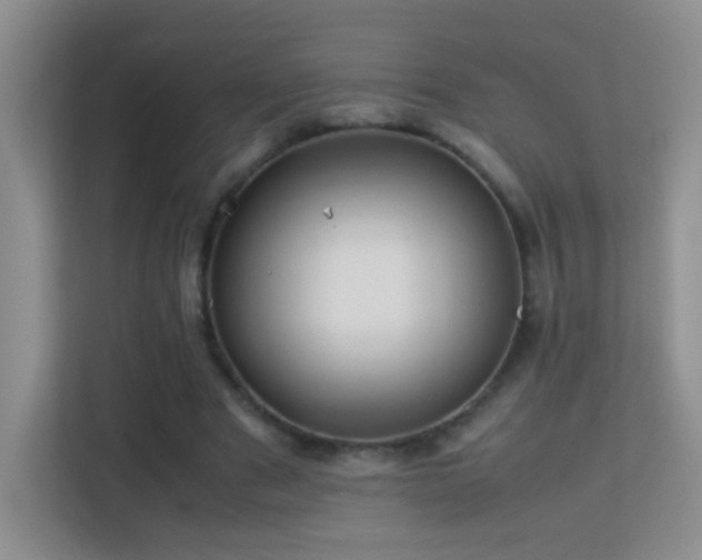 X0000113640489200909251244