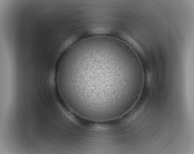 X0000113640490200909251244