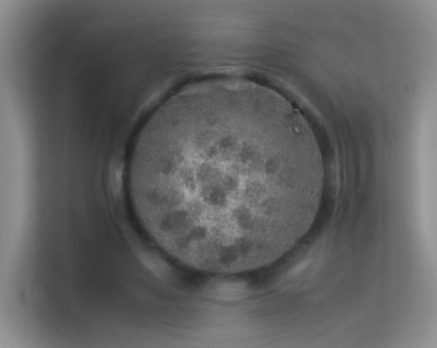 X0000113640491200909251244