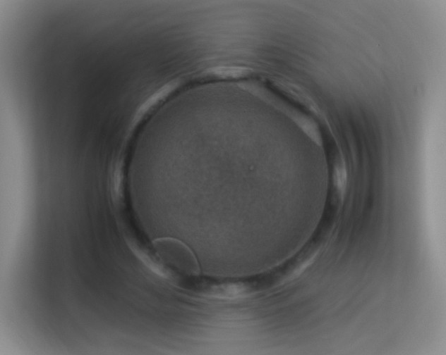 X0000113640492200909251244