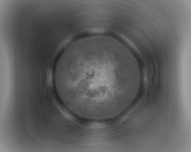 X0000113640494200909251244