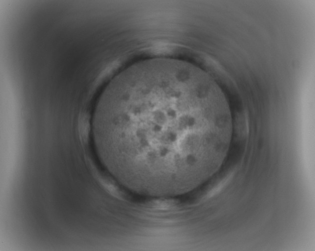 X0000113640495200909251244