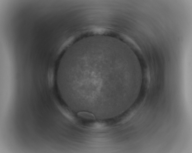 X0000113640496200909251244