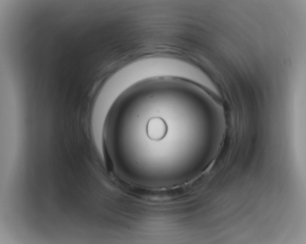 X0000113640500200909251244