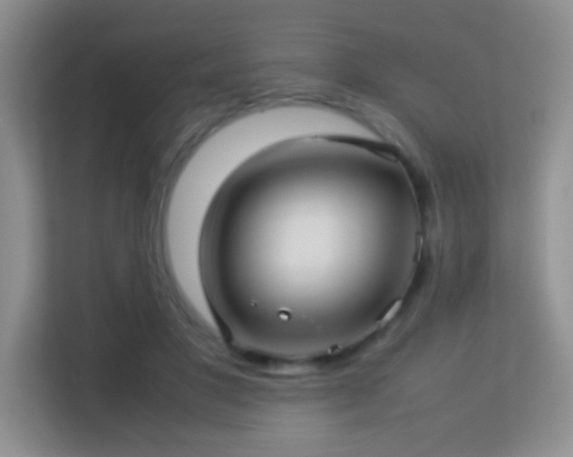 X0000113640501200909251244