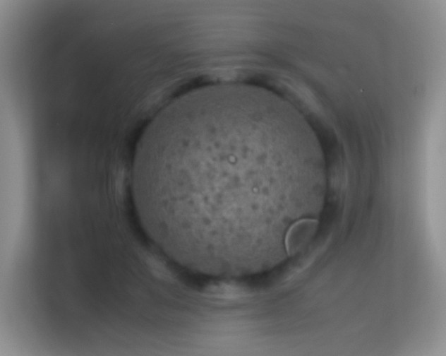 X0000113640503200909251244