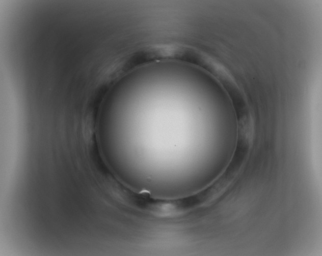 X0000113640509200909251244